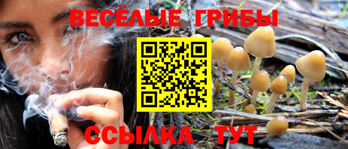Павловский Посад  где можно купить   Вход с VPN  Галлюциногенные грибы MAGIC MUSHROOMS  Псилоцибиновые грибы Psilocybine cubensis 