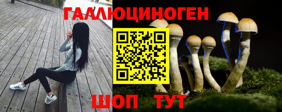 Псилоцибиновые грибы мухоморы Павловский Посад